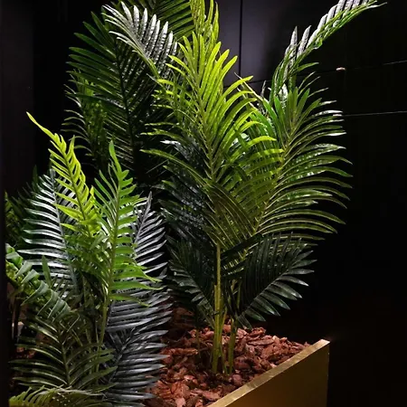 Σπίτι διακοπών Black And